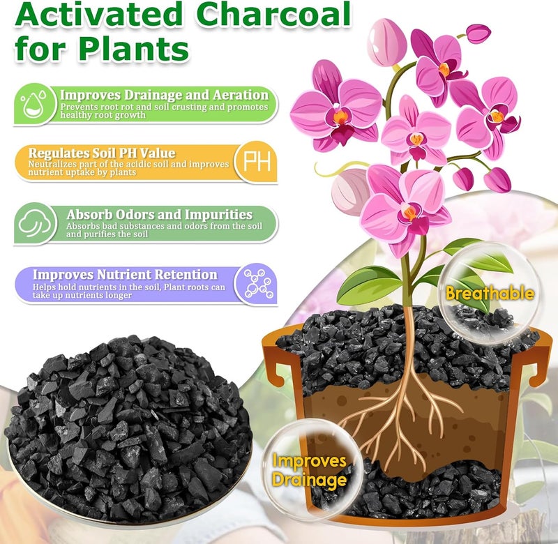 Legigo 10QT All Natural Horticultural Charcoal- Activated Hardwood Plant Charcoal for Soil Amendment, Conditioning Bonsai Soil, Succulent, Terrarium Supplies, Indoor Plant Potting Soil - Image 3